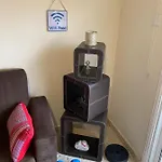 Comfort With Smart Tv & Netflix